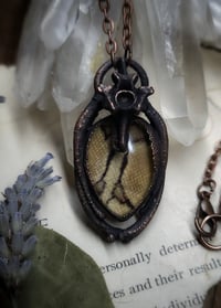 Image 5 of Skin and Bone Amulet - Ball Python