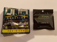 Image 2 of Kayed (Honey Banana Cake X Lantz F2)