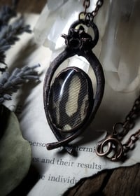 Image 4 of Skin and Bone Amulet - Ball Python.