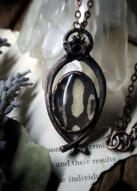 Image 1 of Skin and Bone Amulet - Ball Python.