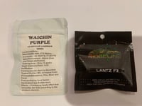 Image 2 of Lantzrace Purps (Waichin Purple X Lantz F2)