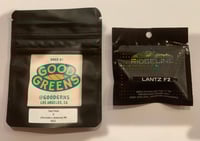 Image 2 of Zorchata (Horchata Gas X Lantz F2)