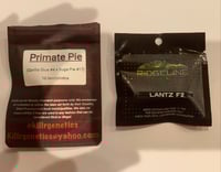 Image 3 of Neanderthal (Primate Pie X Lantz F2)