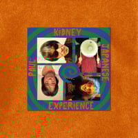 Image 7 of WV122 Paul Kidney Japanese Experience (JP/AU) - S/T LP