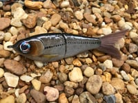 Image 1 of Custom Airbrushed Glide Bait 7310