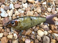 Image 1 of Custom Airbrushed Glide Bait 7325