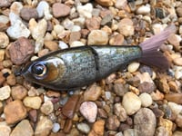 Image 1 of Custom Airbrushed Glide Bait 7349