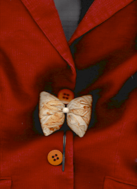 Image 6 of D.D.P_Bow Tie for Buttons