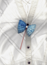 Image 8 of D.D.P_Bow Tie for Buttons