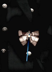Image 7 of D.D.P_Bow Tie for Buttons