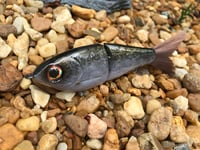 Image 2 of Custom Airbrushed Glide Bait 7451