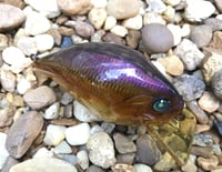 Image 5 of Custom Airbrushed S-CRANK 1.5 Squarebill Crankbait  7640
