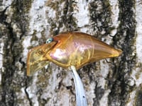 Image 9 of Custom Airbrushed S-CRANK 1.5 Squarebill Crankbait  7640