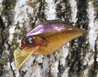 Image 10 of Custom Airbrushed S-CRANK 1.5 Squarebill Crankbait  7640