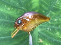 Image 1 of Custom Airbrushed S-CRANK 1.5 Squarebill Crankbait  7640