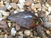 Image 3 of Custom Airbrushed S-CRANK 1.5 Squarebill Crankbait  7673