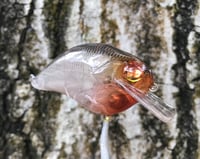 Image 5 of Custom Airbrushed S-CRANK 1.5 Squarebill Crankbait  7673