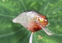 Image 10 of Custom Airbrushed S-CRANK 1.5 Squarebill Crankbait  7673