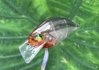 Image 11 of Custom Airbrushed S-CRANK 1.5 Squarebill Crankbait  7673