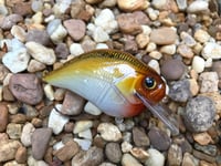 Image 1 of Custom Airbrushed S-CRANK 1.5 Squarebill Crankbait  7694