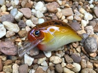 Image 2 of Custom Airbrushed S-CRANK 1.5 Squarebill Crankbait  7694