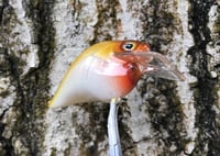 Image 6 of Custom Airbrushed S-CRANK 1.5 Squarebill Crankbait  7694