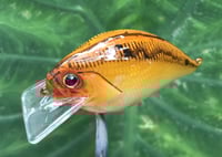 Image 10 of Custom Airbrushed S-CRANK 1.5 Squarebill Crankbait  7694
