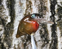 Image 7 of  Custom Airbrushed S-CRANK 1.5 Squarebill Crankbait  7718