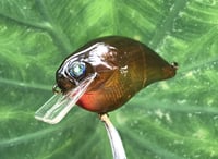 Image 9 of  Custom Airbrushed S-CRANK 1.5 Squarebill Crankbait  7718