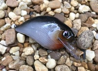Image 1 of Custom Airbrushed S-CRANK 1.5 Squarebill Crankbait  7814