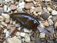 Image 2 of Custom Airbrushed Crankbait 7886