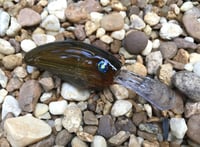 Image 4 of Custom Airbrushed Crankbait 7886