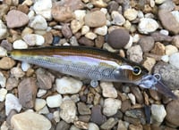 Image 1 of  Custom Airbrushed Jerkbait 7937