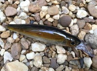 Image 2 of  Custom Airbrushed Jerkbait 7937
