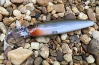 Image 3 of Custom Airbrushed Jerkbait 7961