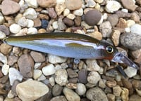 Image 1 of Custom Airbrushed Jerkbait 7961