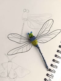 Image 4 of Judith Brown: Wire Butterflies & Insects workshop