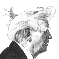 Image 1 of Donald Trump | 4x6 | Original Ink Drawing
