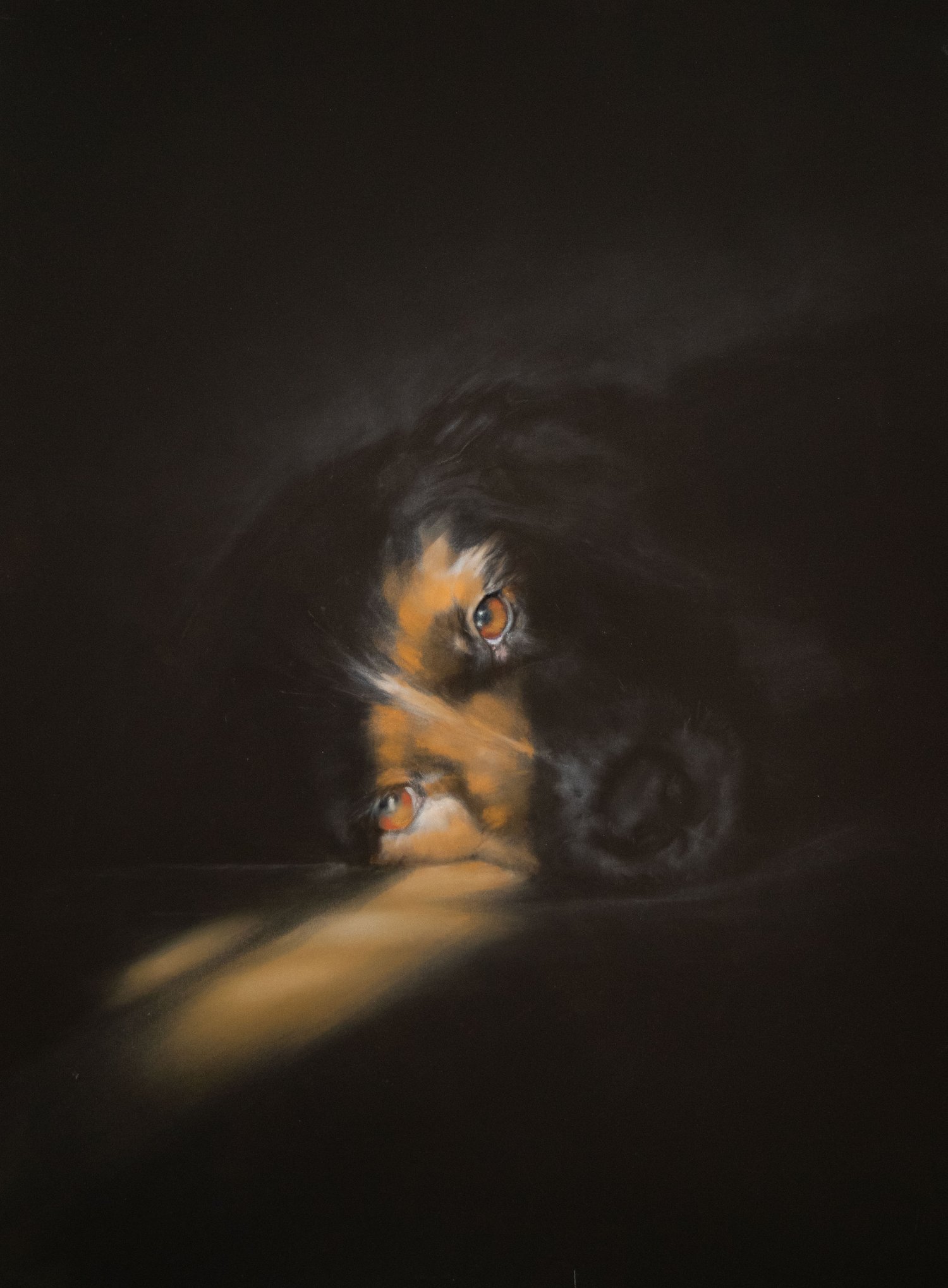 Image of “ sunny eyes “