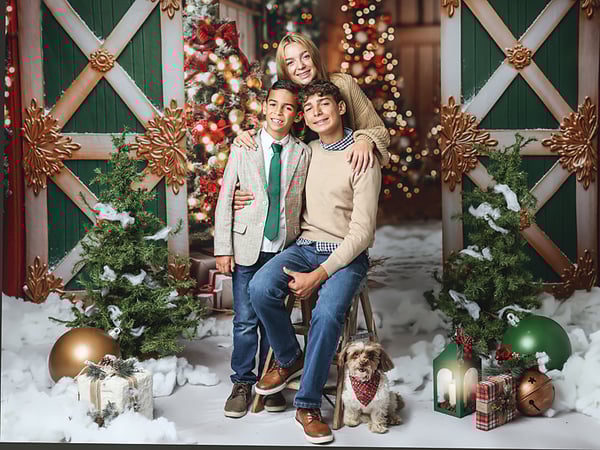 Image of Snowy Holiday Barn, Saturday October 25, 2025 $375 ($100 Deposit)