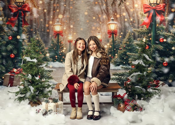 Image of Limited Edition, Outdoor Snowy Christmas Lane, Sunday November 2nd $375 ($100 deposit) 