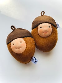Image 3 of Acorn Baby Pocket Buddy