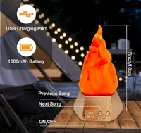 Image 5 of Wall Torch Lamp - Choice of Light only or Light with Bluetooth Speaker