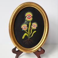 Image 1 of Life Will Always Find Me