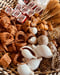 Image of La Madama Altar Kit