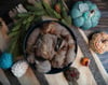 Targhee - Washed Fleece by the Pound