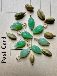 Image 1 of Amulette Graine de Cardamone 