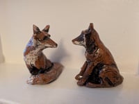 Image 5 of Sitting fox 