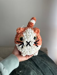 Image 4 of Crochet Kittens 