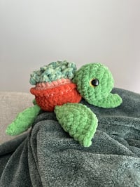 Image 1 of Crochet Succulent Turtle 